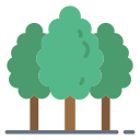 Certificat de spécialisation arboriste grimpeur